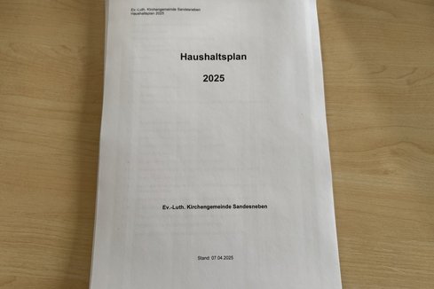 Haushaltsplan 2025